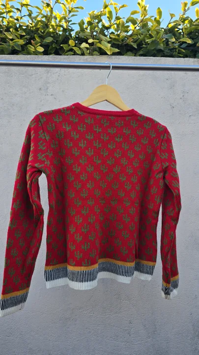 Sweater cactus