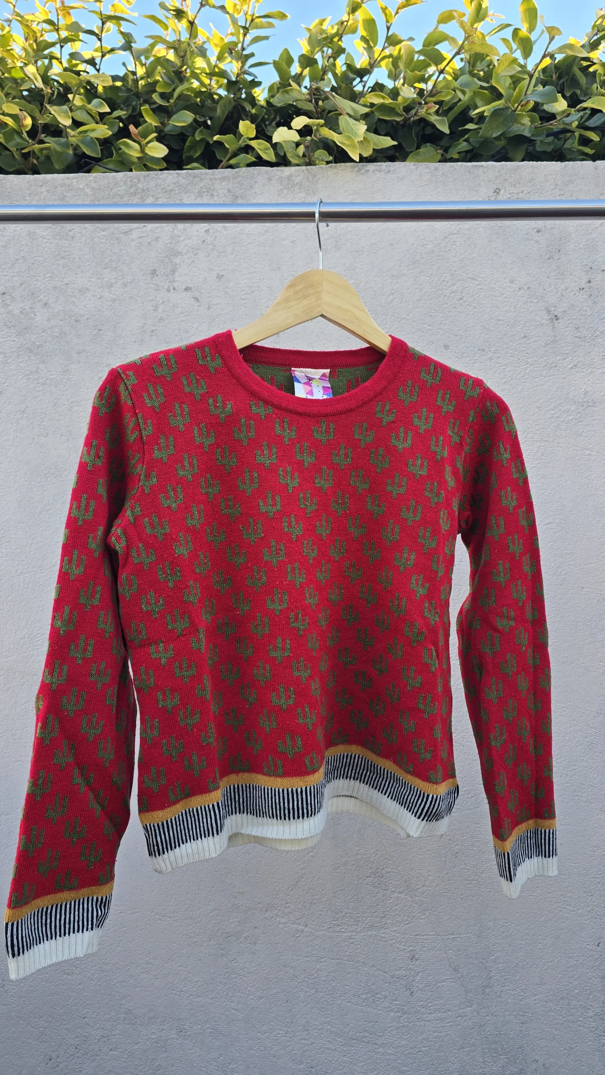 Sweater cactus