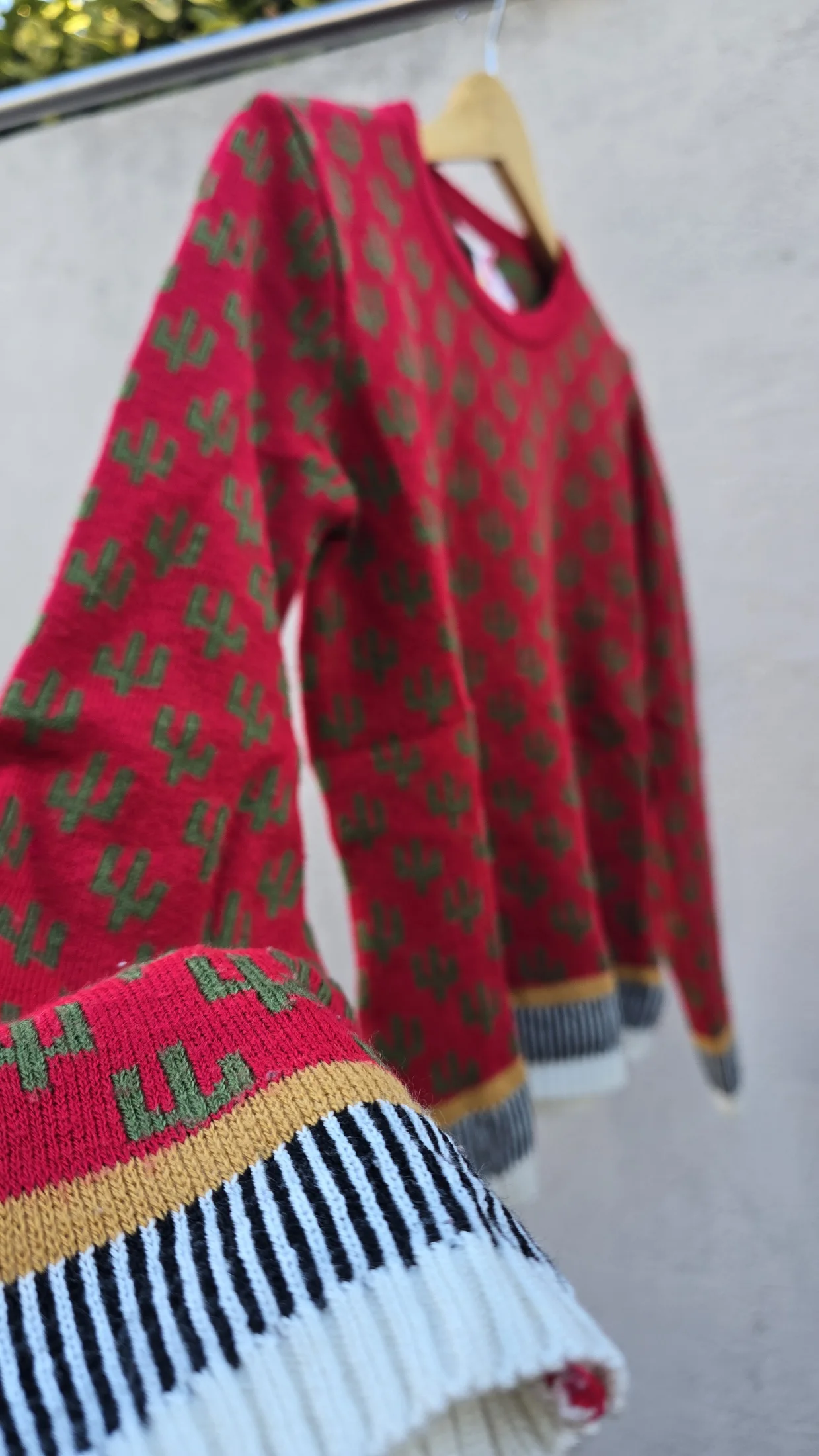 Sweater cactus